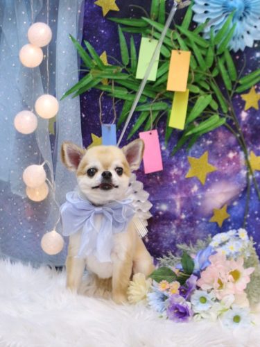 20250709バロンくん